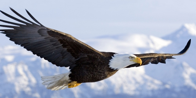 What is “American Style” in&nbsp;music?