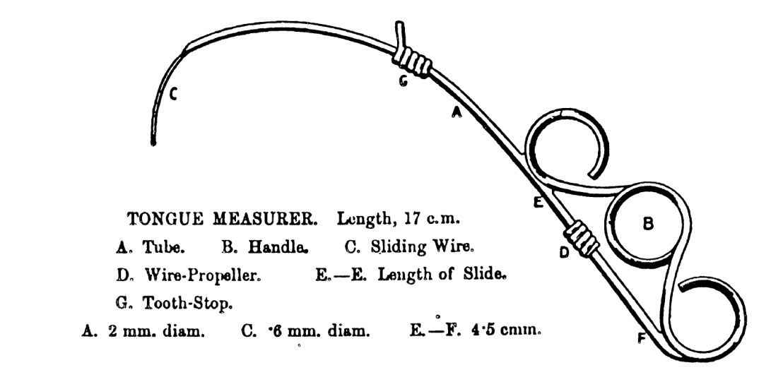 TONGUE POSITIONS OF VOWEL-SOUNDS