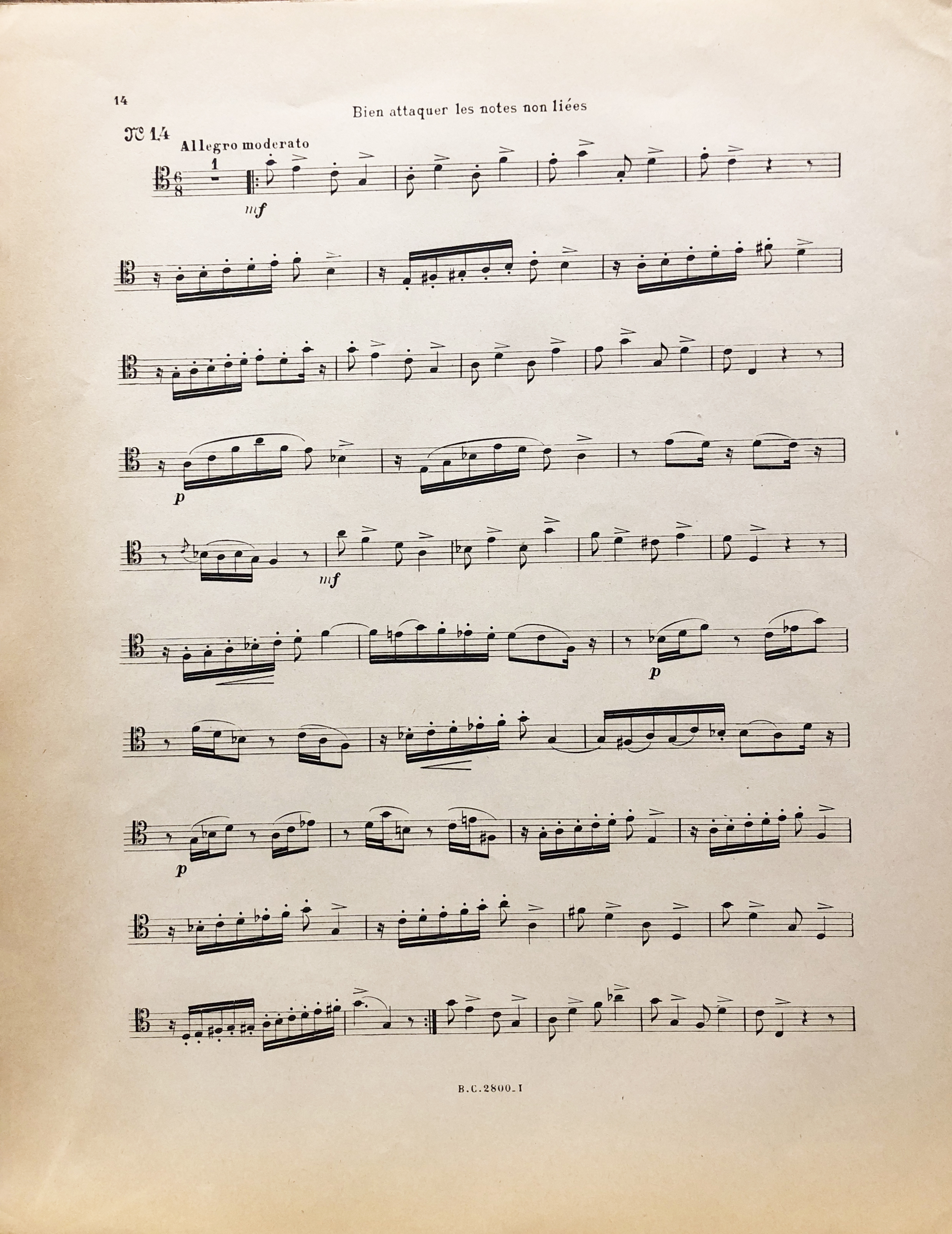 55.ROCHUT_Allard_Couillaud_14