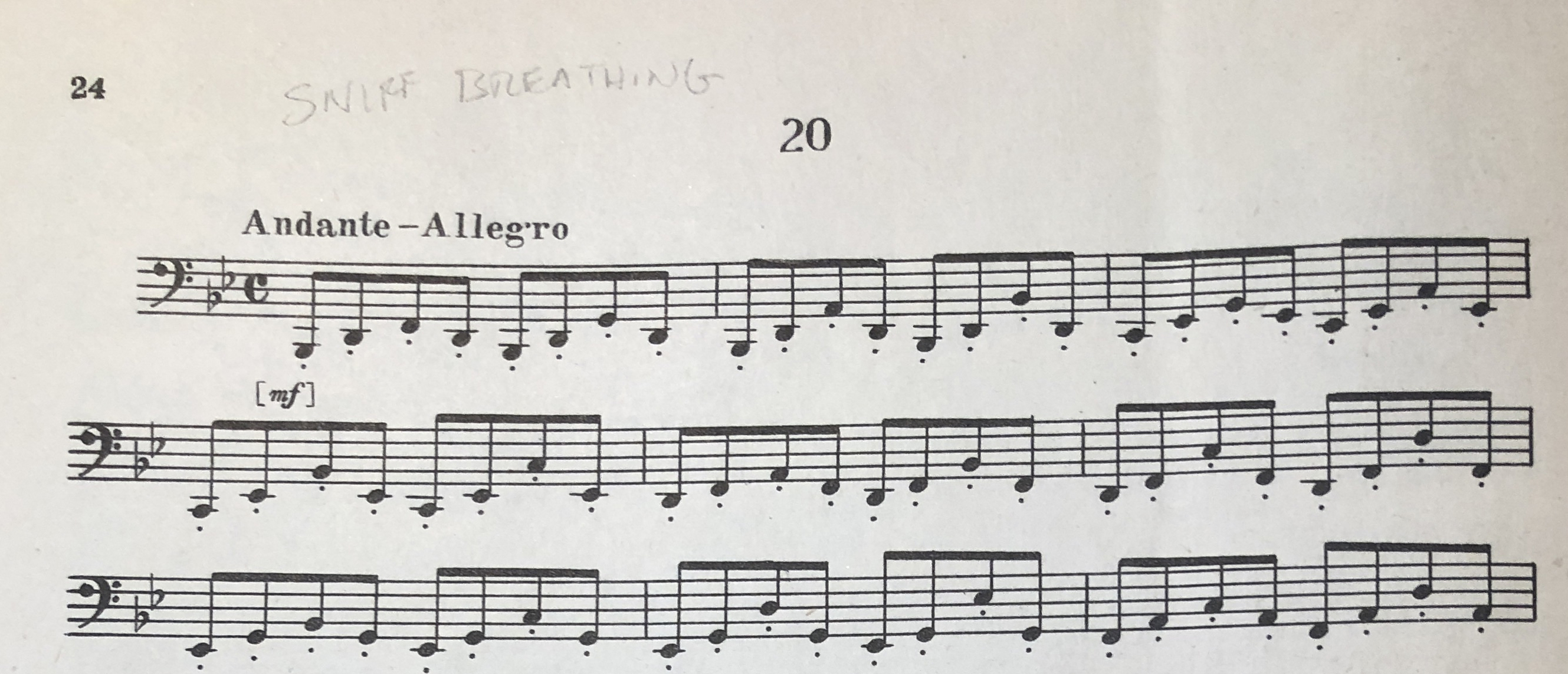 stephanovsky_20_detail_knaub_copy