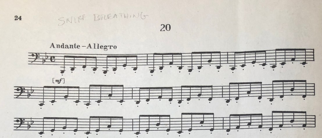 stephanovsky_20_detail_knaub_copy