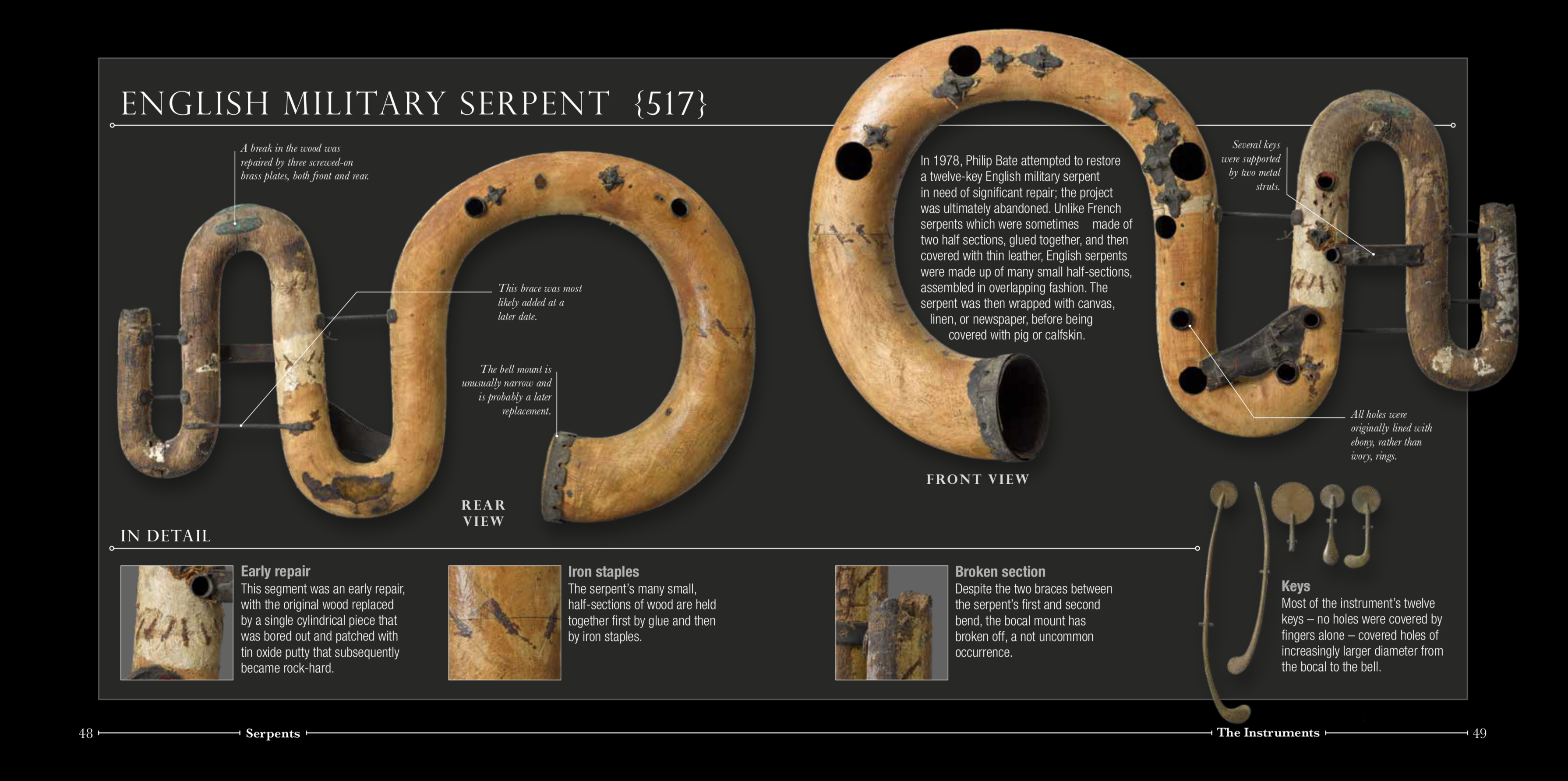 Bate_denuded_serpent