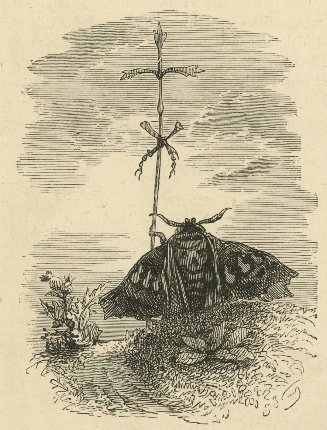 Grandville_Silkworm_01