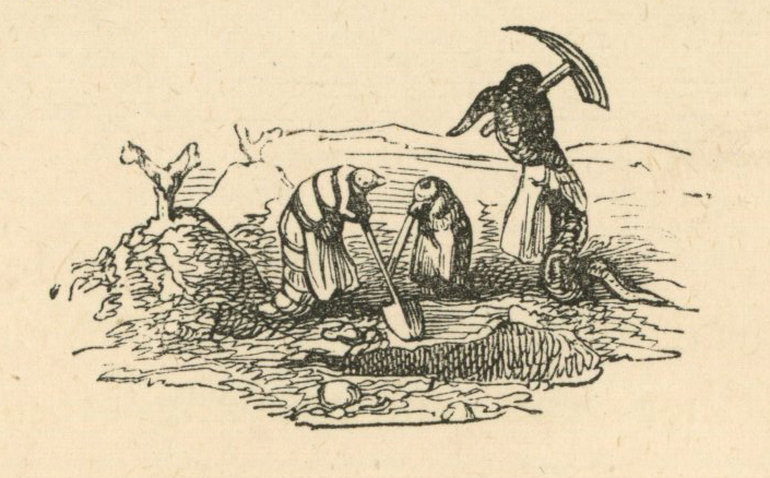 Grandville_Silkworm_04