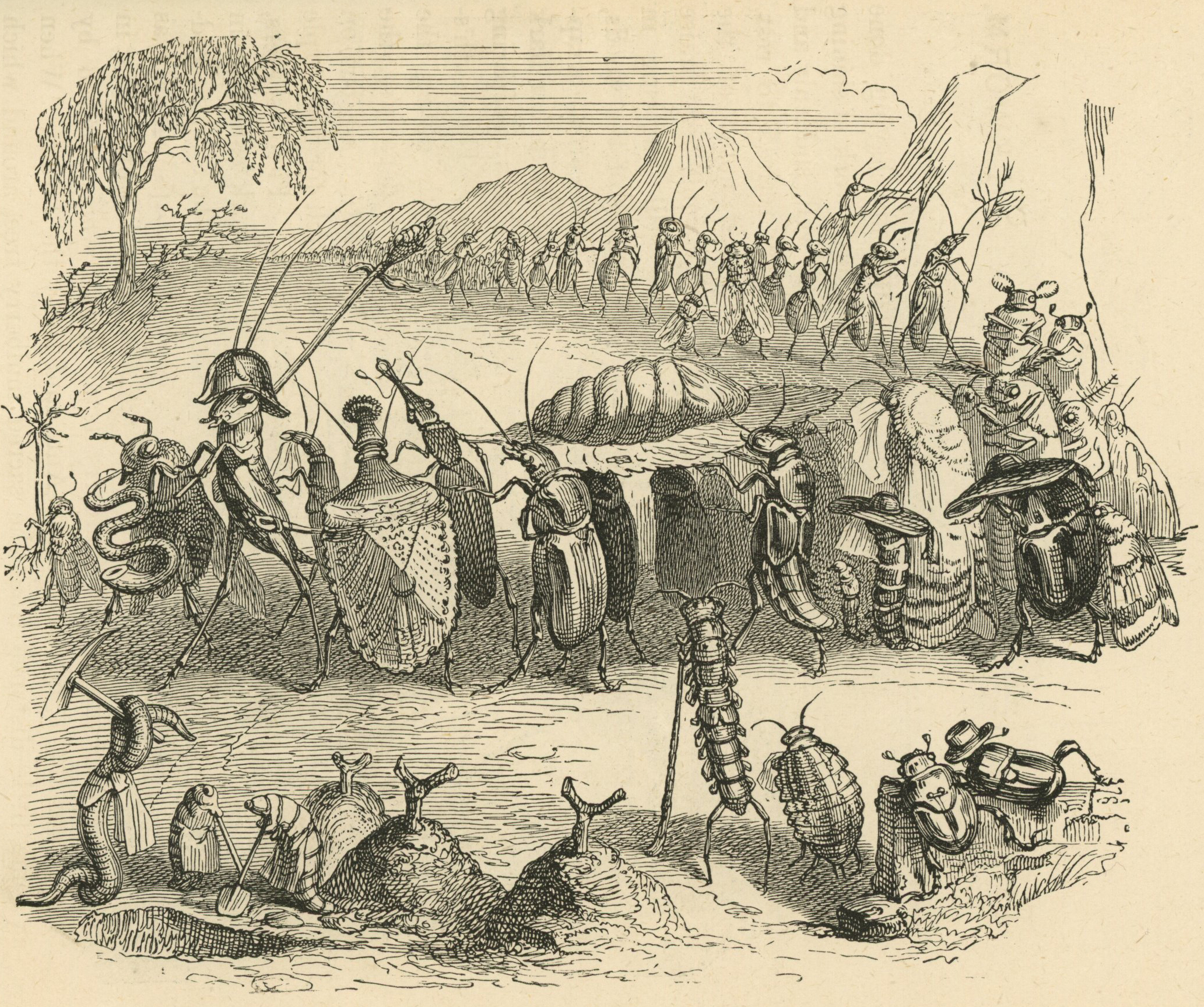 Grandville_Silkworm_serpent_02