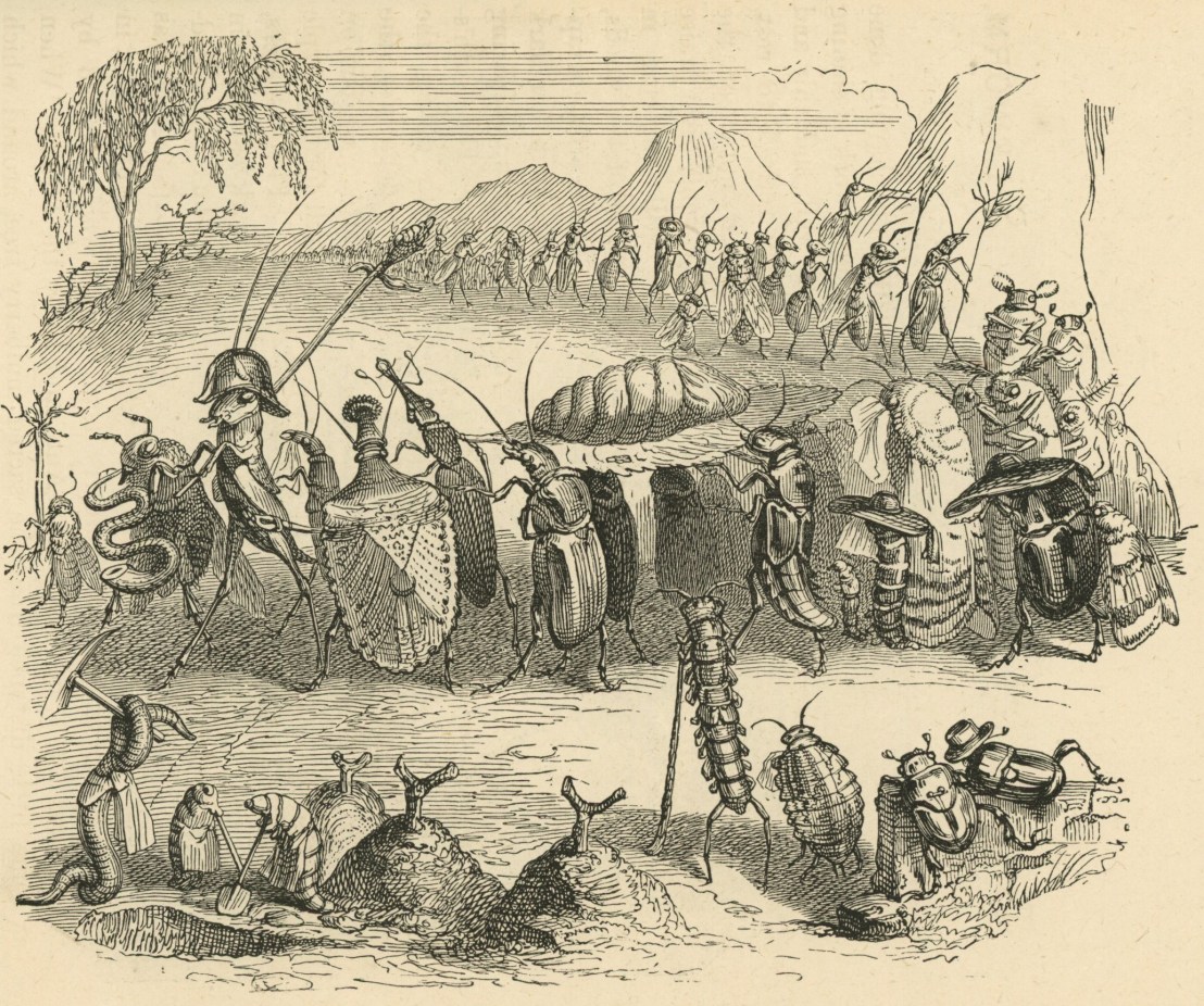 Grandville_Silkworm_serpent_02